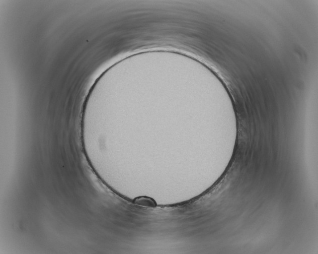X0000111371534200908071203