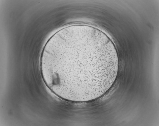 X0000111371535200908071203