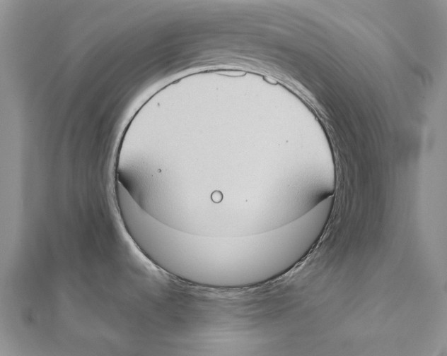 X0000111371536200908071203