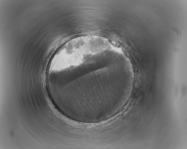 X0000111370002200908211328