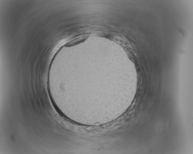 X0000111370003200908211328