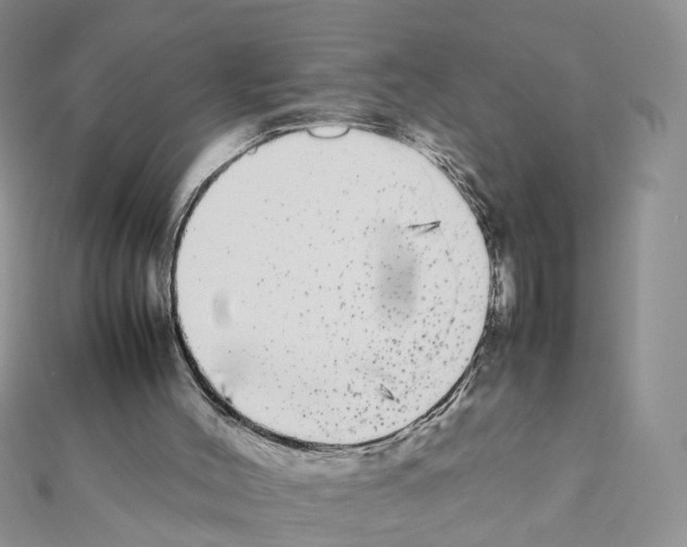X0000111370004200908211328