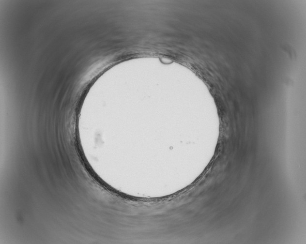X0000111370005200908211328
