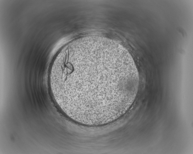 X0000111370006200908211328