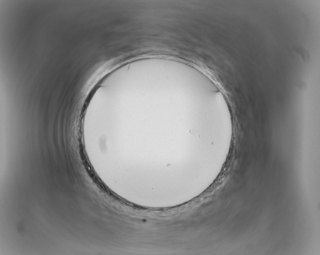 X0000111370007200908211328