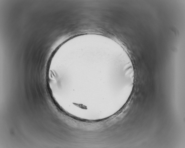 X0000111370008200908211328