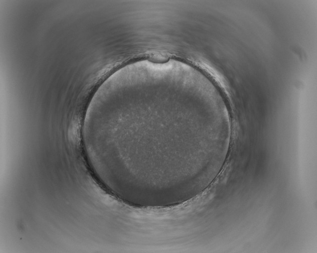 X0000111370009200908211328
