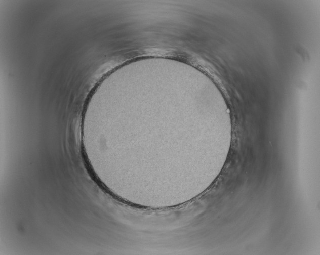 X0000111370011200908211328