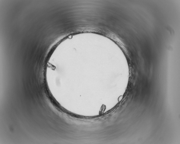 X0000111370012200908211328
