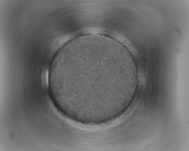 X0000111370014200908211328