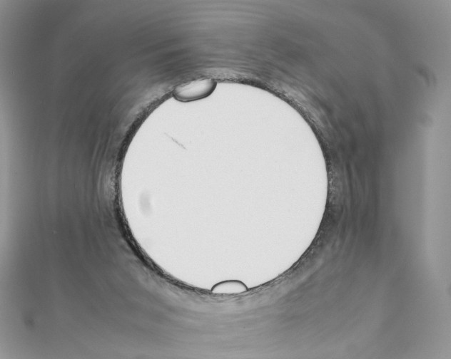 X0000111370015200908211328