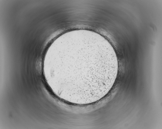 X0000111370016200908211328