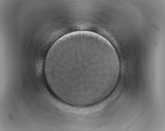 X0000111370018200908211328