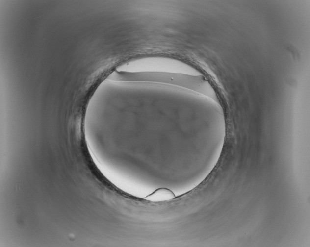 X0000111370019200908211328