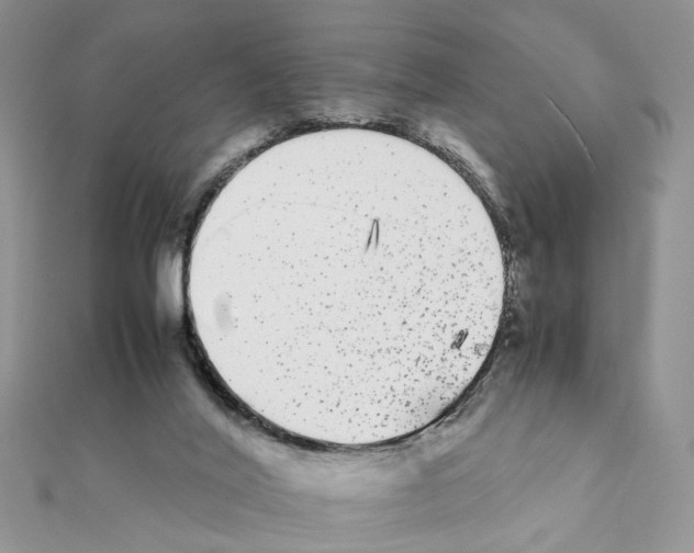 X0000111370020200908211328