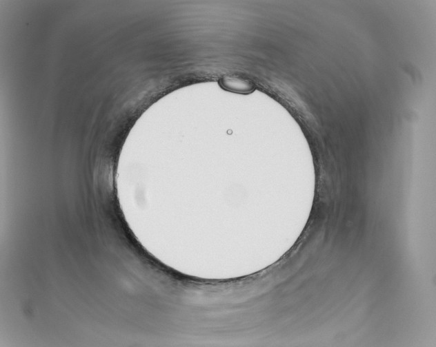 X0000111370021200908211328