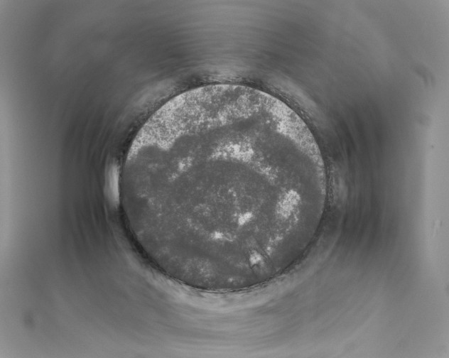 X0000111370022200908211328