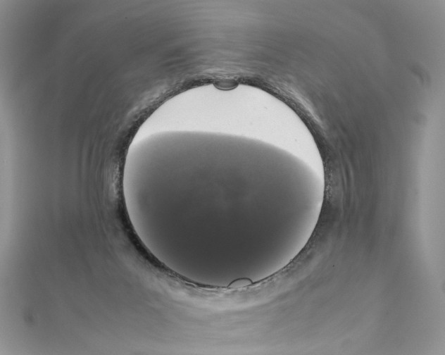 X0000111370023200908211328