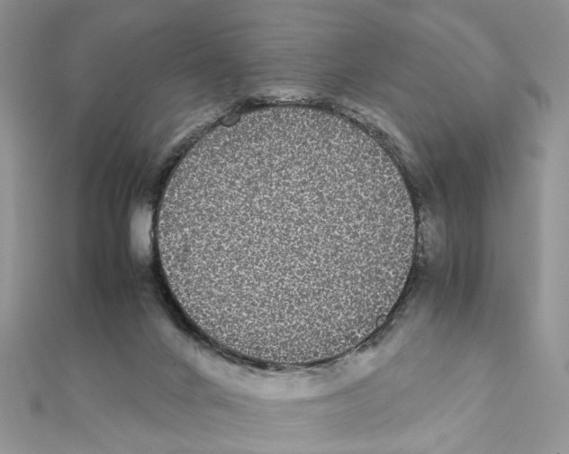 X0000111370024200908211328
