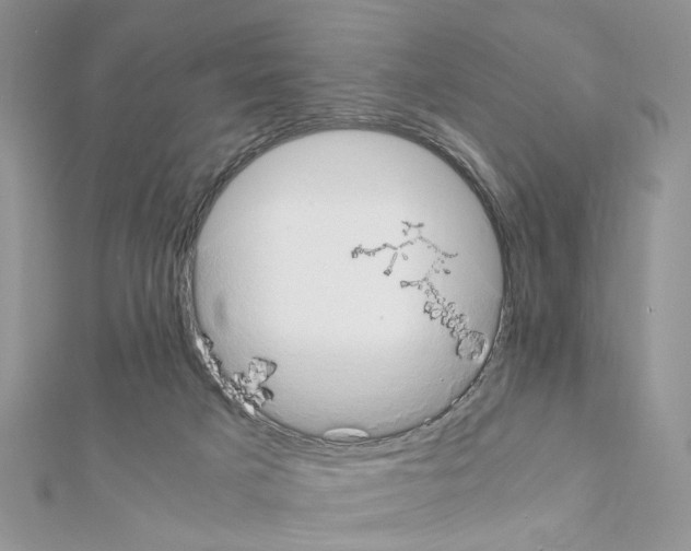 X0000111370025200908211328