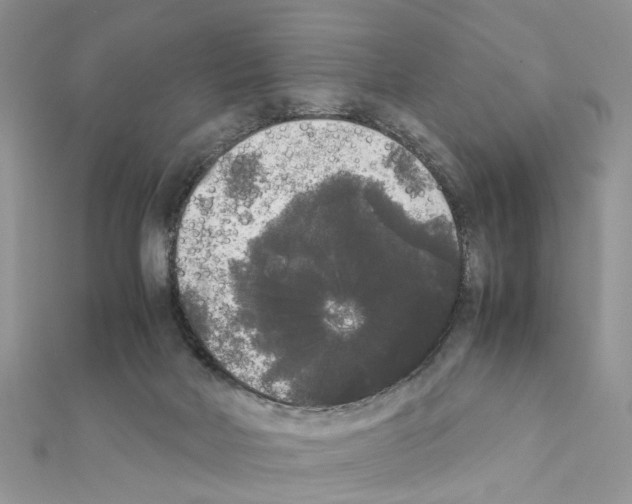 X0000111370026200908211328