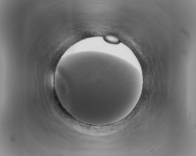 X0000111370027200908211328