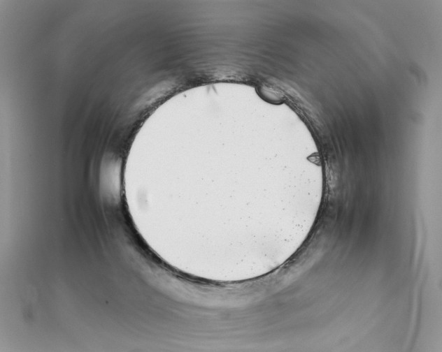 X0000111370028200908211328