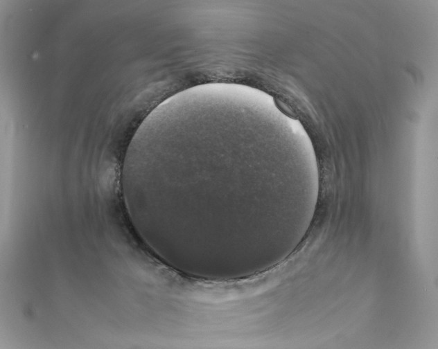 X0000111370029200908211328