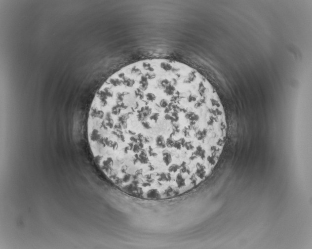 X0000111370030200908211328