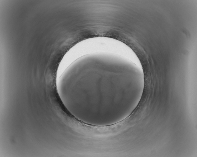 X0000111370031200908211328