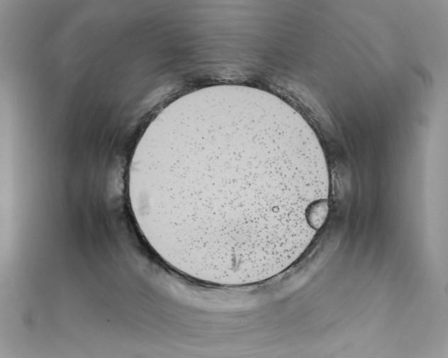 X0000111370032200908211328