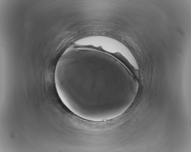X0000111370035200908211328