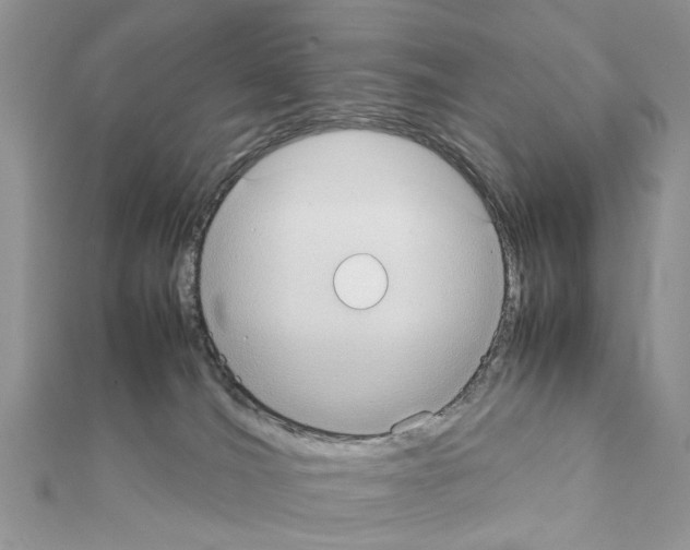 X0000111370036200908211328