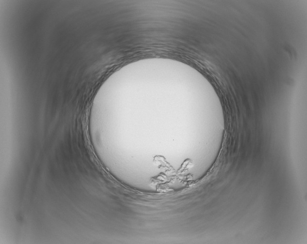 X0000111370037200908211328