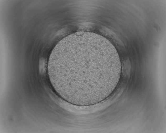 X0000111370038200908211328