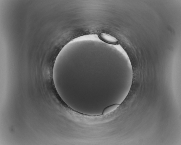 X0000111370039200908211328