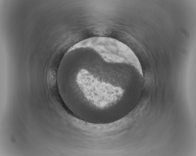 X0000111370043200908211327