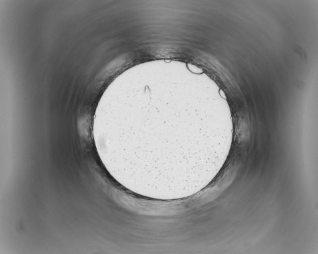 X0000111370044200908211327