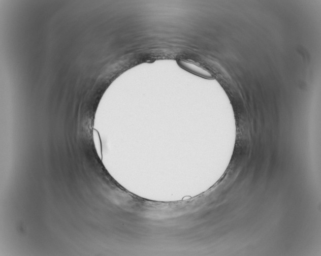 X0000111370045200908211327