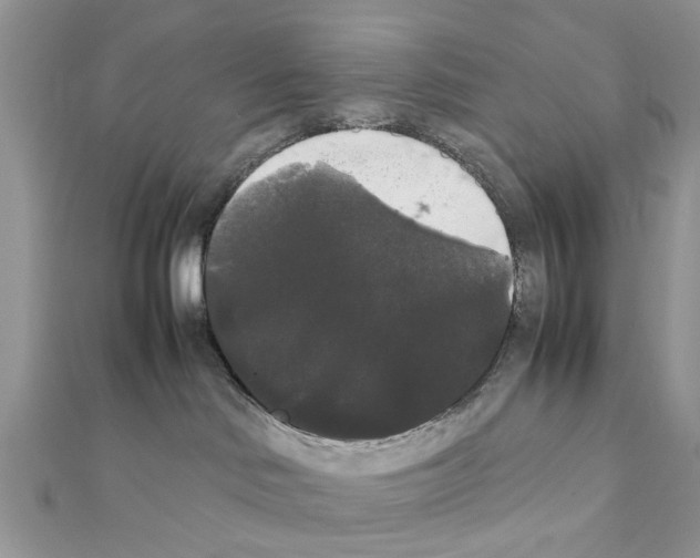 X0000111370046200908211327