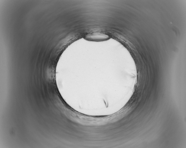 X0000111370048200908211327
