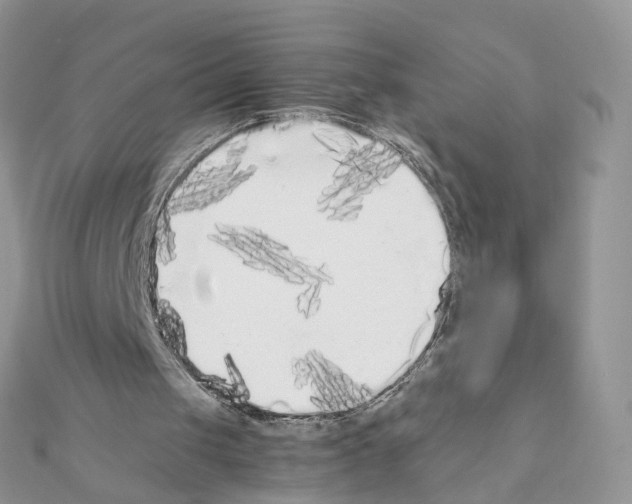 X0000111370049200908211327