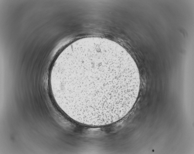 X0000111370054200908211327
