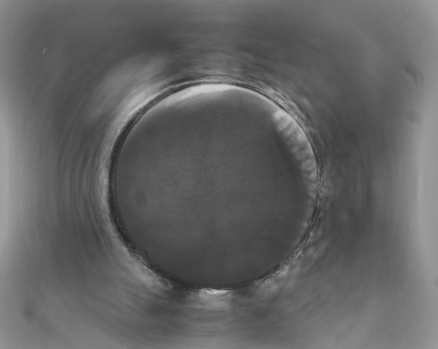 X0000111370055200908211327