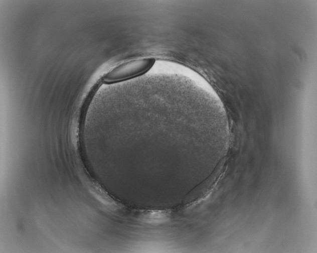 X0000111370056200908211327