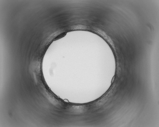 X0000111370057200908211327