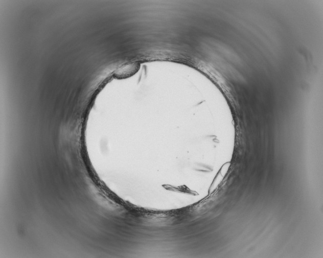 X0000111370058200908211327
