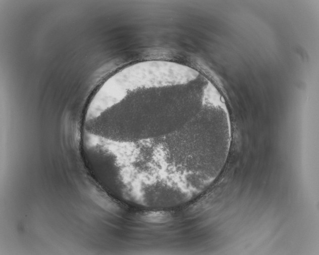 X0000111370059200908211327