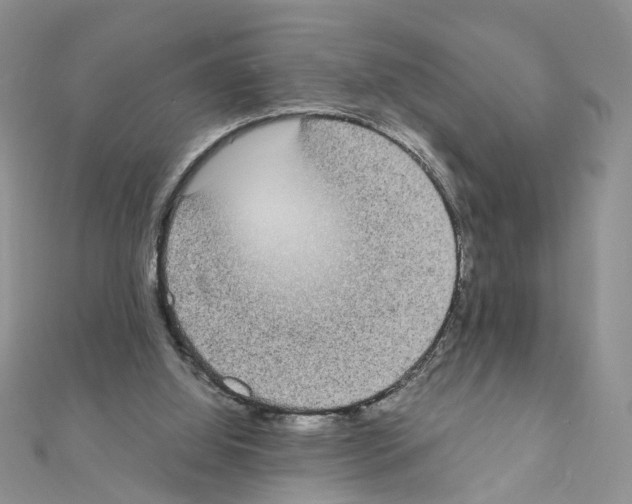 X0000111370060200908211327
