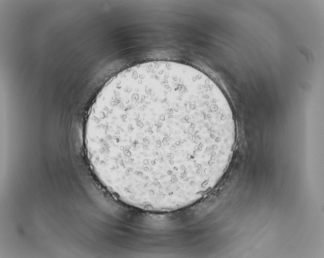 X0000111370061200908211327